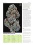 Page: - 74 | High Times