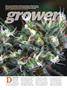Page: - 88 | High Times
