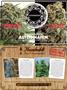 Page: - 95 | High Times