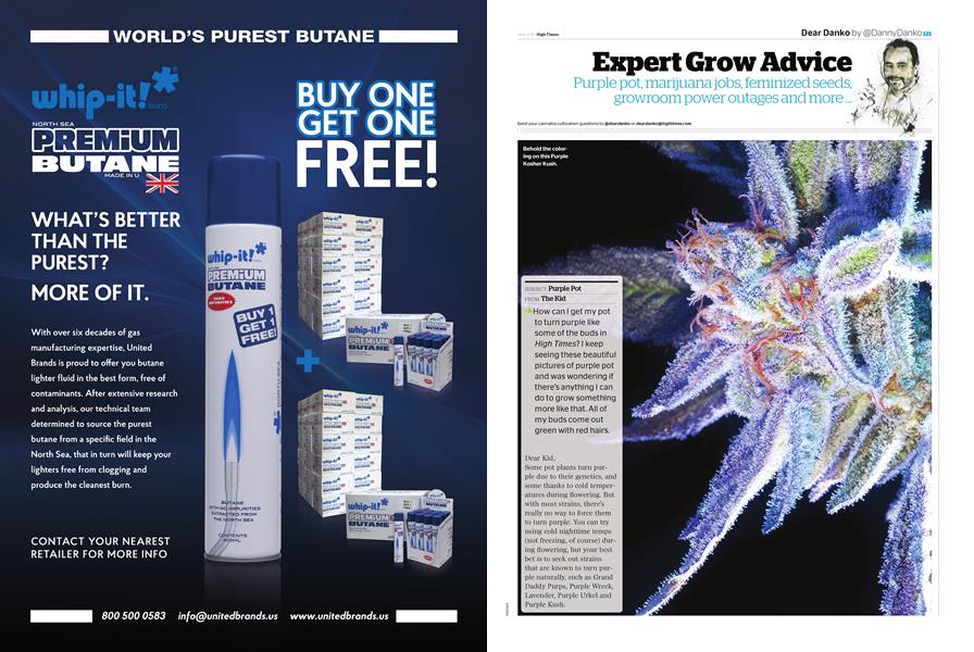 Expert Grow Advice