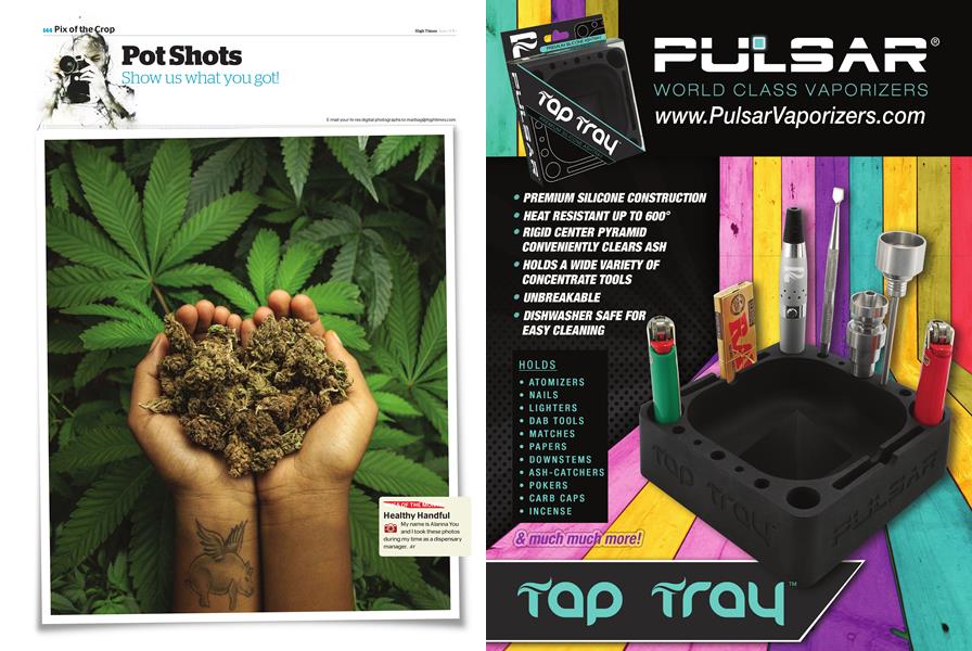 Pot Shots High Times June 2015