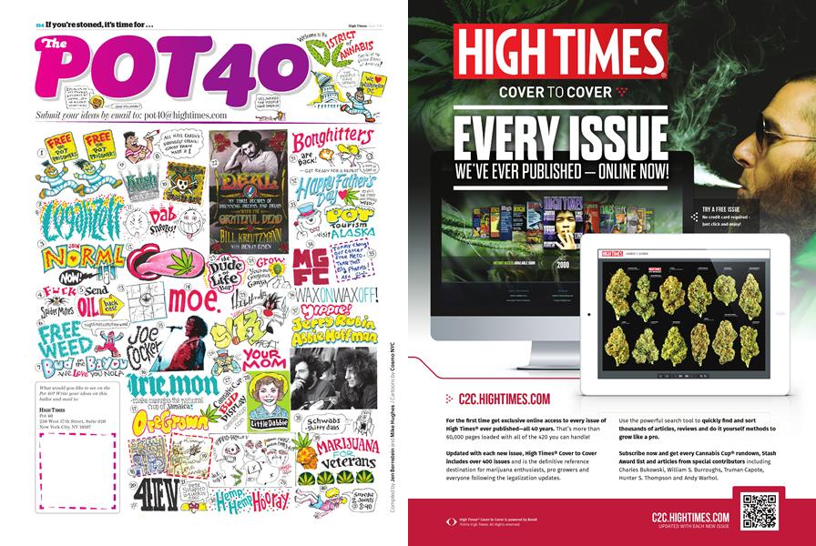 The POT 40