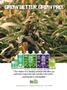 Page: - 106 | High Times