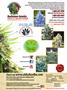 Page: - 159 | High Times