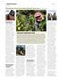 Page: - 30 | High Times