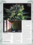 Page: - 68 | High Times