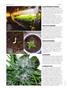 Page: - 74 | High Times