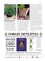 Page: - 84 | High Times