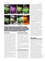 Page: - 90 | High Times