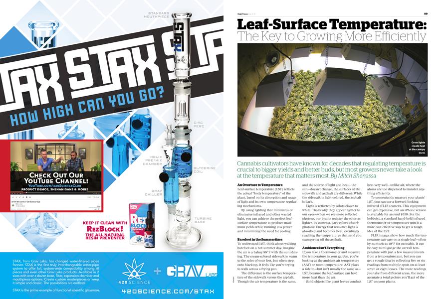 Leaf-Surface Temperature: The Key to Growing More Efficiently