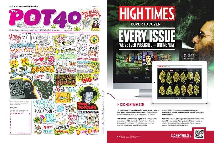 The POT 40