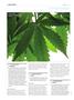 Page: - 128 | High Times