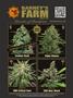 Page: - 141 | High Times