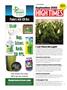 Page: - 156 | High Times