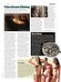 Page: - 33 | High Times