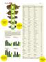 Page: - 42 | High Times