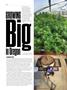 Page: - 80 | High Times