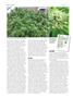 Page: - 90 | High Times