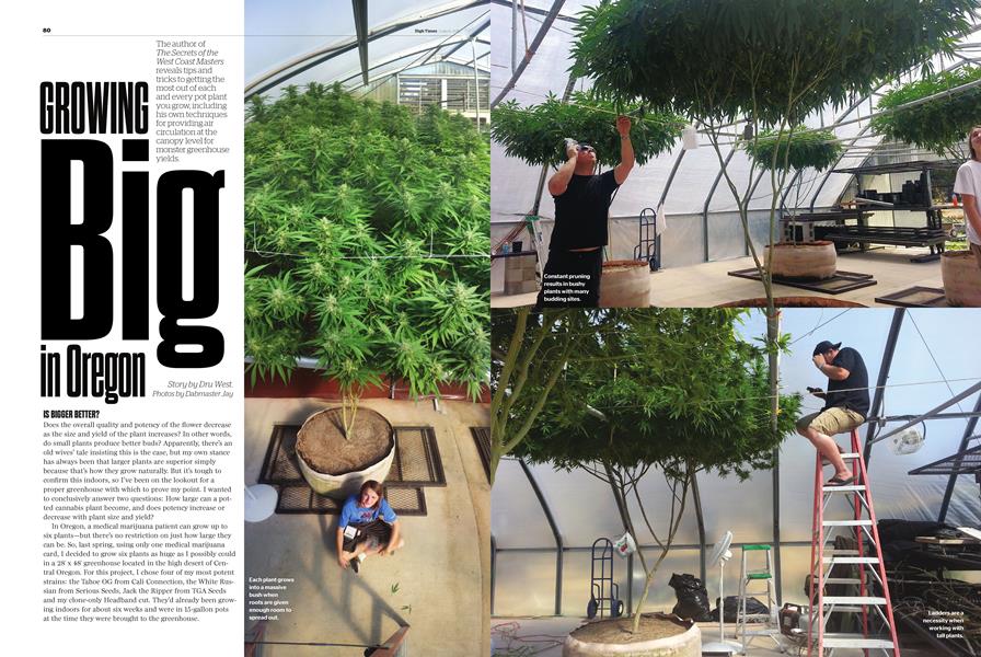 GROWING Big in Oregon