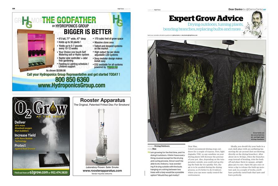 Expert Grow Advice