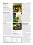Page: - 100 | High Times