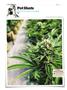 Page: - 144 | High Times