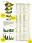 Page: - 42 | High Times