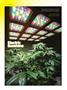 Page: - 45 | High Times