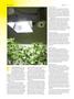 Page: - 46 | High Times