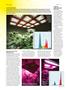 Page: - 54 | High Times
