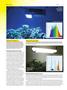 Page: - 56 | High Times