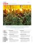 Page: - 6 | High Times