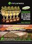 Page: - 61 | High Times