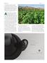 Page: - 84 | High Times