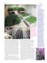 Page: - 90 | High Times