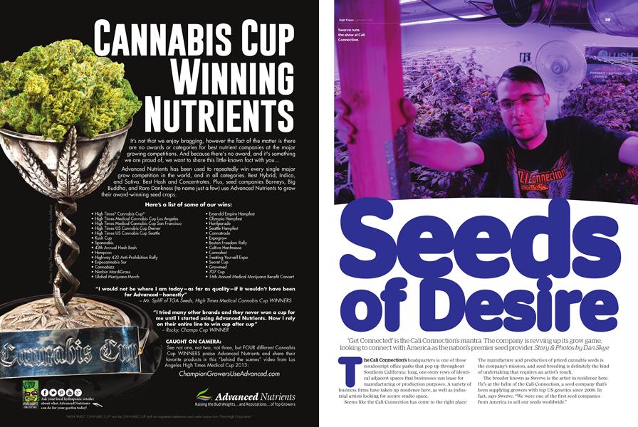 Seeds of Desire