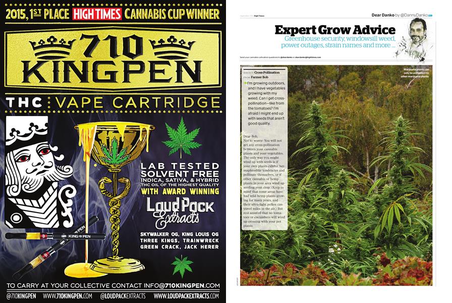 Expert Grow Advice
