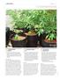 Page: - 120 | High Times
