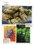 Page: - 146 | High Times