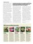 Page: - 24 | High Times