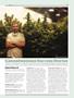 Page: - 59 | High Times