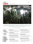 Page: - 6 | High Times