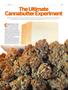 Page: - 67 | High Times