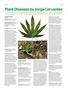 Page: - 89 | High Times