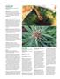 Page: - 90 | High Times