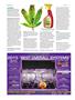 Page: - 94 | High Times