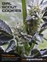 Page: - 95 | High Times