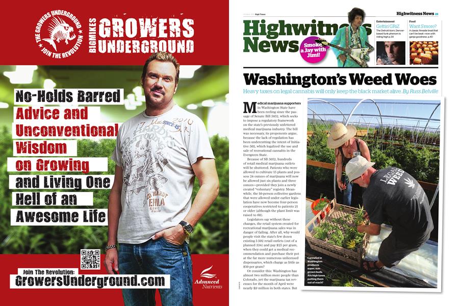 Washington’s Weed Woes