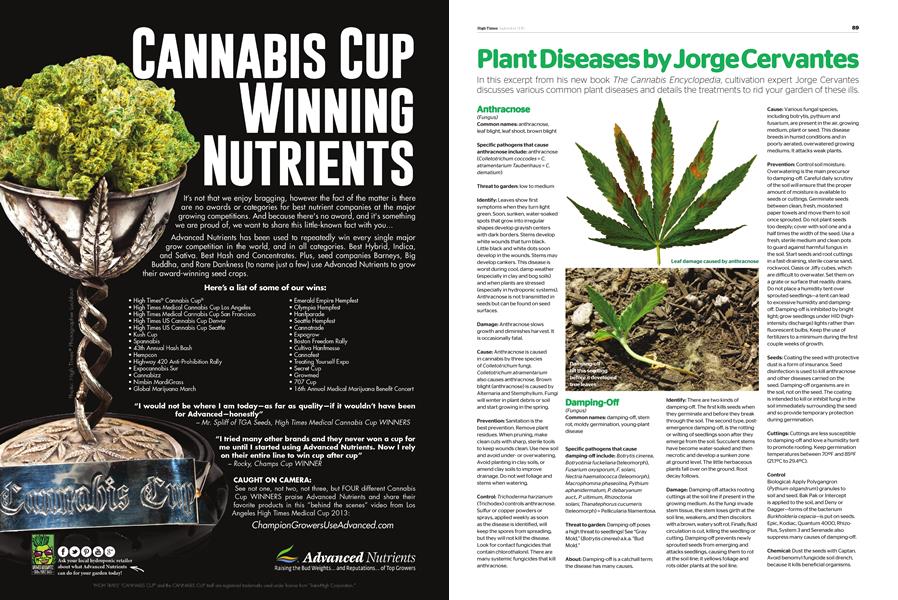 Plant Diseases by Jorge Cervantes