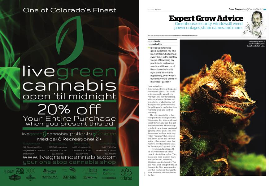 Expert Grow Advice